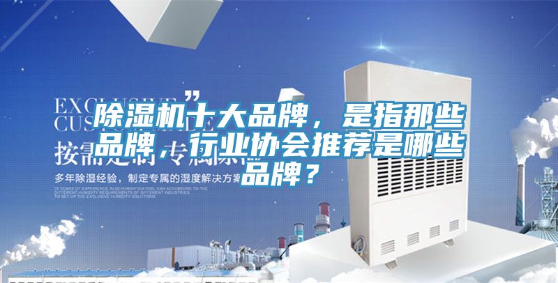 除濕機(jī)十大品牌，是指那些品牌，行業(yè)協(xié)會推薦是哪些品牌？