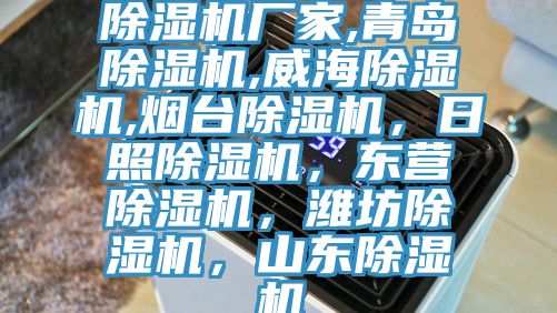 除濕機(jī)廠家,青島除濕機(jī),威海除濕機(jī),煙臺(tái)除濕機(jī)，日照除濕機(jī)，東營(yíng)除濕機(jī)，濰坊除濕機(jī)，山東除濕機(jī)