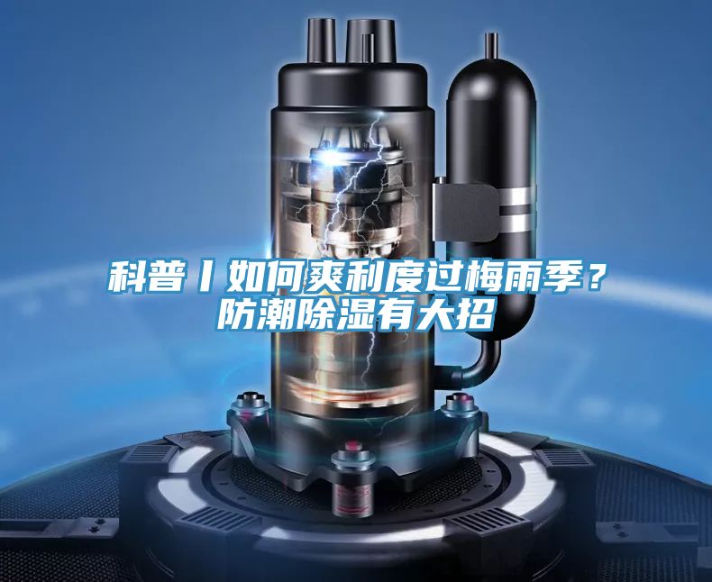 科普丨如何爽利度過梅雨季？防潮除濕有大招