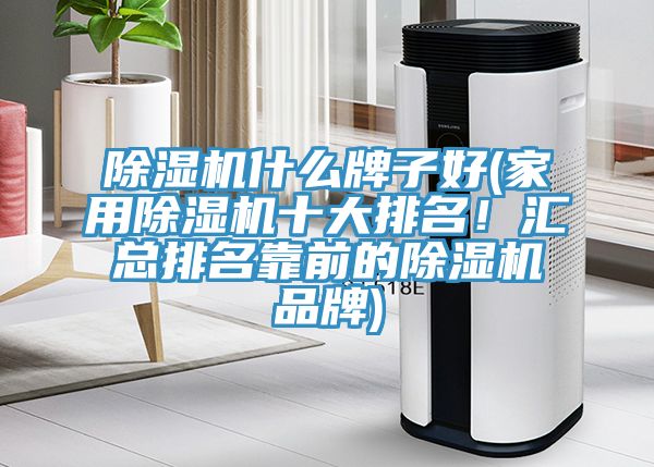 除濕機(jī)什么牌子好(家用除濕機(jī)十大排名！匯總排名靠前的除濕機(jī)品牌)