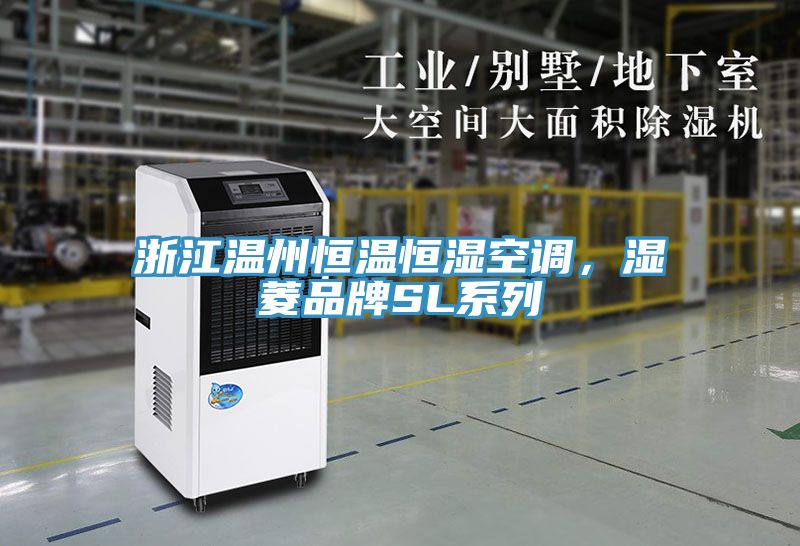 浙江溫州恒溫恒濕空調(diào)，濕菱品牌SL系列