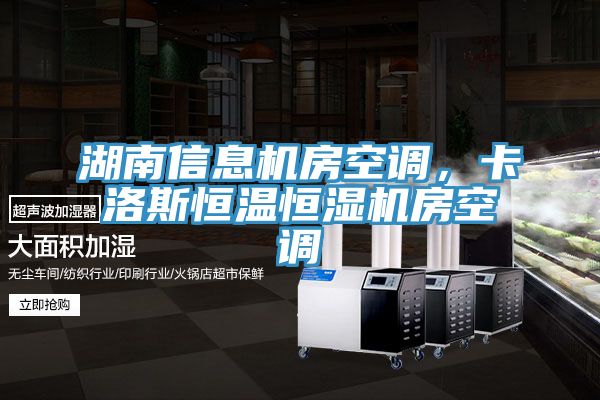 湖南信息機房空調(diào)，卡洛斯恒溫恒濕機房空調(diào)