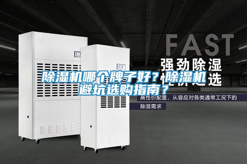 除濕機哪個牌子好？除濕機避坑選購指南？