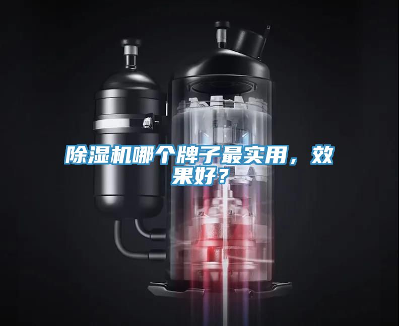 除濕機(jī)哪個(gè)牌子最實(shí)用，效果好？