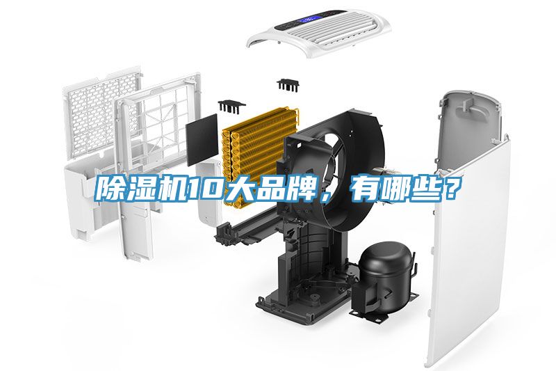 除濕機10大品牌，有哪些？