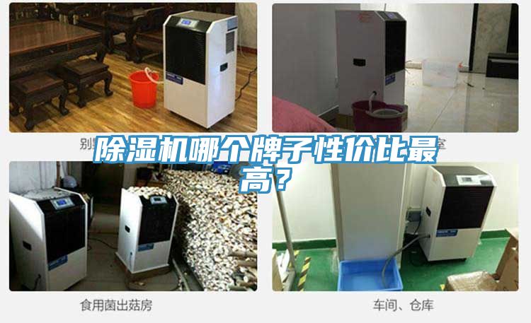 除濕機哪個牌子性價比最高？