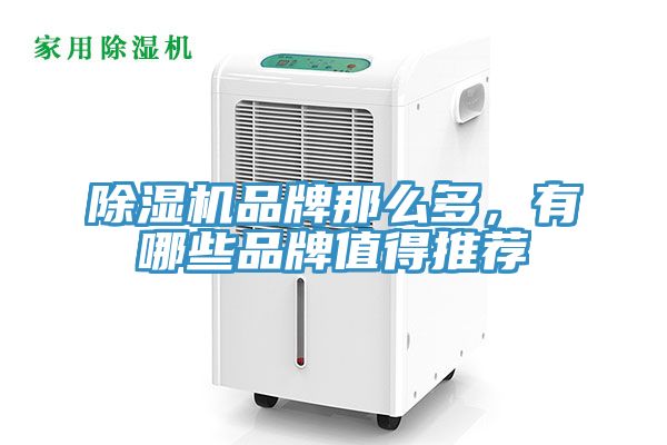 除濕機品牌那么多，有哪些品牌值得推薦