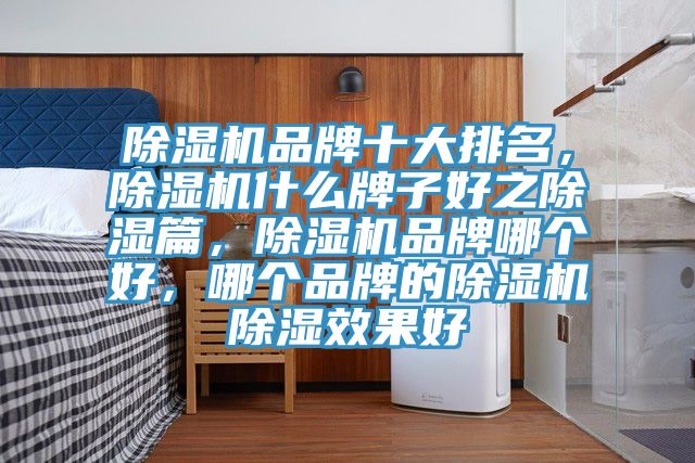 除濕機(jī)品牌十大排名，除濕機(jī)什么牌子好之除濕篇，除濕機(jī)品牌哪個好，哪個品牌的除濕機(jī)除濕效果好