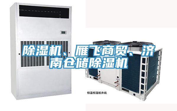 除濕機、雁飛商貿、濟南倉儲除濕機