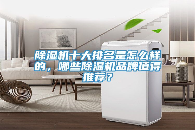 除濕機(jī)十大排名是怎么樣的，哪些除濕機(jī)品牌值得推薦？