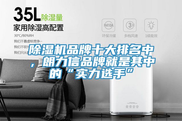 除濕機品牌十大排名中，朗力信品牌就是其中的“實力選手”