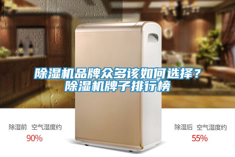除濕機品牌眾多該如何選擇？除濕機牌子排行榜