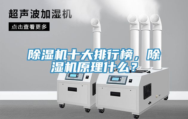除濕機(jī)十大排行榜，除濕機(jī)原理什么？