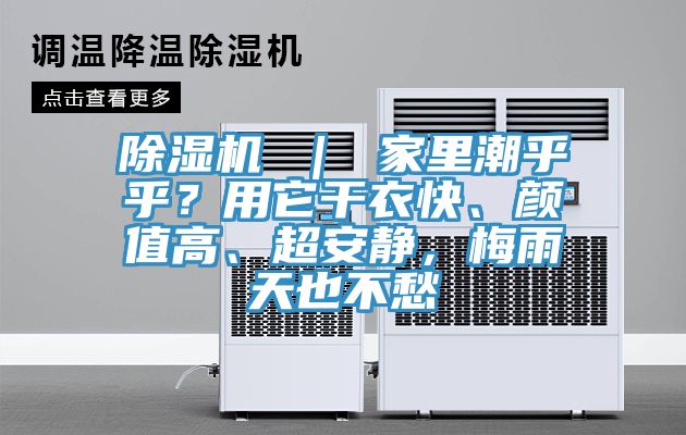 除濕機(jī) ｜ 家里潮乎乎？用它干衣快、顏值高、超安靜，梅雨天也不愁