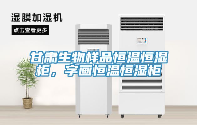 甘肅生物樣品恒溫恒濕柜，字畫(huà)恒溫恒濕柜