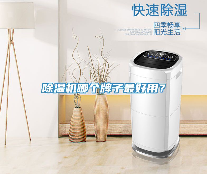除濕機(jī)哪個(gè)牌子最好用？