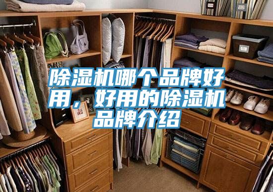 除濕機哪個品牌好用，好用的除濕機品牌介紹