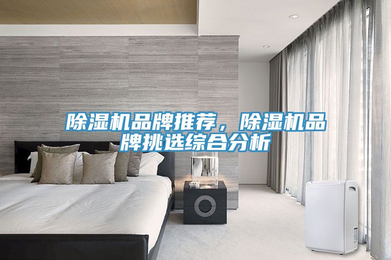 除濕機品牌推薦，除濕機品牌挑選綜合分析