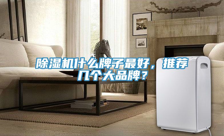 除濕機(jī)什么牌子最好，推薦幾個大品牌？