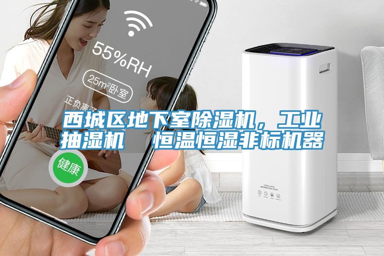 西城區(qū)地下室除濕機，工業(yè)抽濕機  恒溫恒濕非標機器