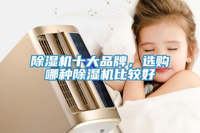 除濕機(jī)十大品牌，選購哪種除濕機(jī)比較好