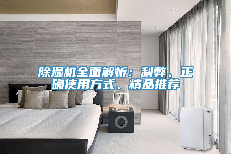 除濕機(jī)全面解析：利弊、正確使用方式、精品推薦