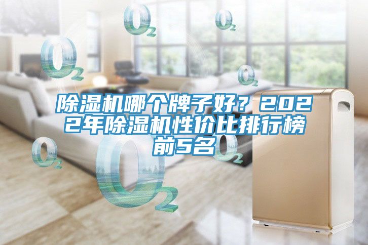 除濕機哪個牌子好？2022年除濕機性價比排行榜前5名