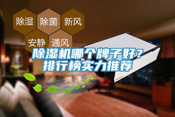 除濕機哪個牌子好？排行榜實力推薦