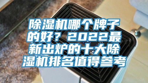 除濕機哪個牌子的好？2022最新出爐的十大除濕機排名值得參考