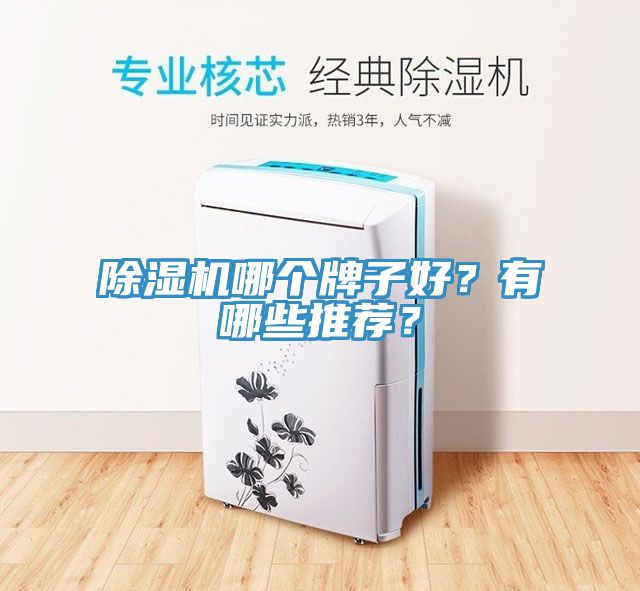 除濕機哪個牌子好？有哪些推薦？