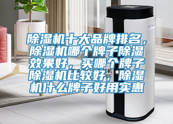 除濕機十大品牌排名，除濕機哪個牌子除濕效果好，買哪個牌子除濕機比較好，除濕機什么牌子好用實惠