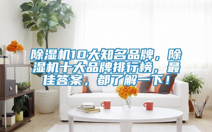 除濕機10大知名品牌，除濕機十大品牌排行榜，最佳答案，都了解一下！