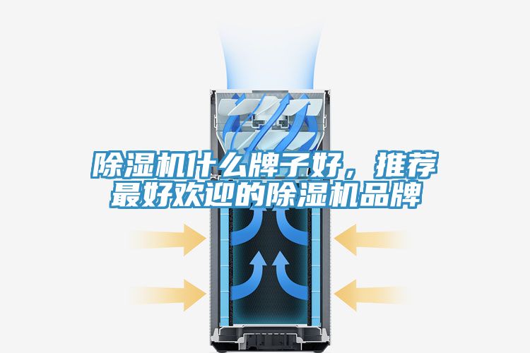 除濕機(jī)什么牌子好，推薦最好歡迎的除濕機(jī)品牌