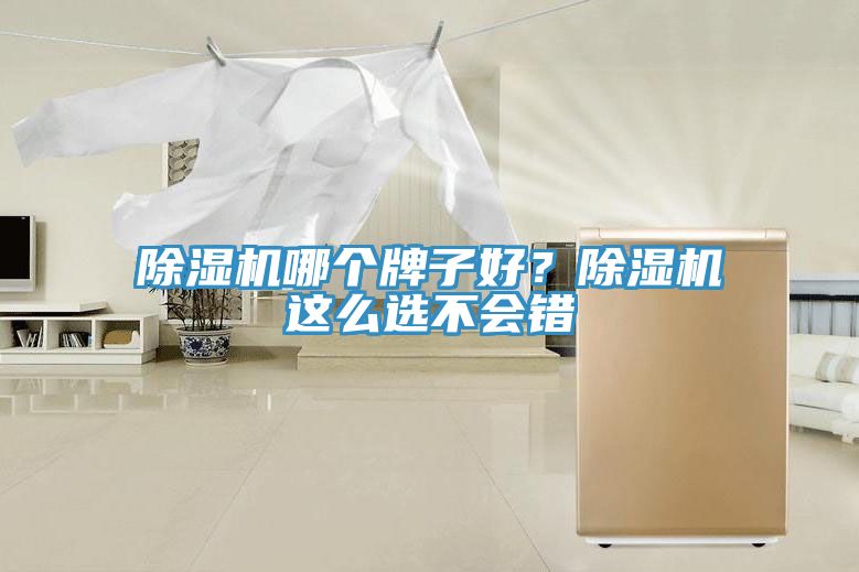 除濕機哪個牌子好？除濕機這么選不會錯