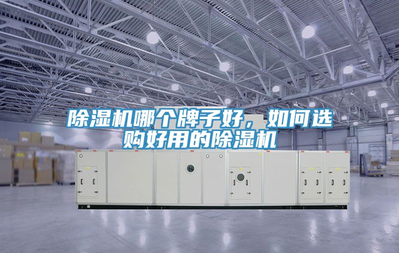 除濕機(jī)哪個(gè)牌子好，如何選購(gòu)好用的除濕機(jī)