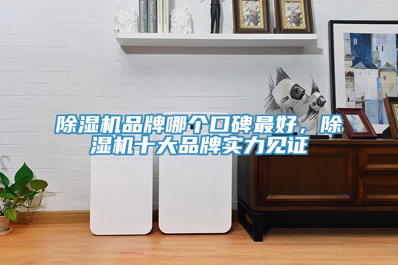 除濕機(jī)品牌哪個口碑最好，除濕機(jī)十大品牌實(shí)力見證