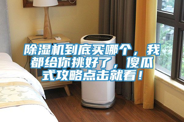 除濕機到底買哪個，我都給你挑好了，傻瓜式攻略點擊就看！