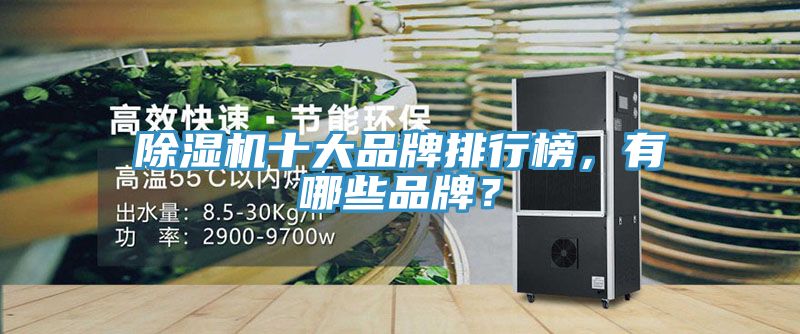 除濕機十大品牌排行榜，有哪些品牌？