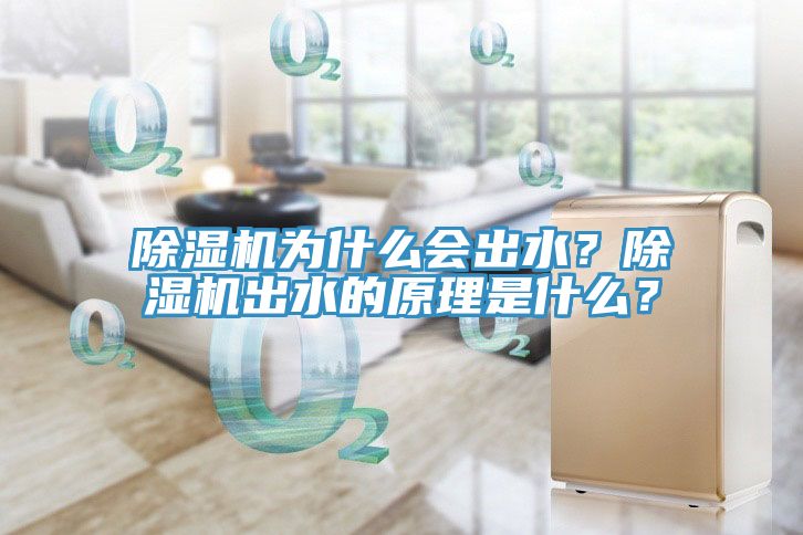 除濕機為什么會出水？除濕機出水的原理是什么？