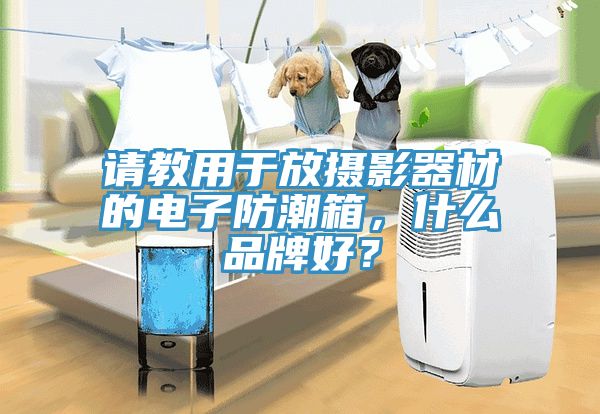 請教用于放攝影器材的電子防潮箱，什么品牌好？