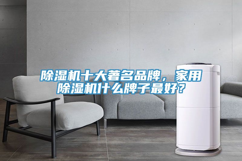 除濕機(jī)十大著名品牌，家用除濕機(jī)什么牌子最好？
