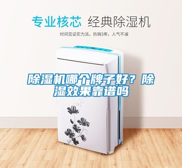 除濕機哪個牌子好？除濕效果靠譜嗎