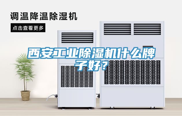 西安工業(yè)除濕機什么牌子好？