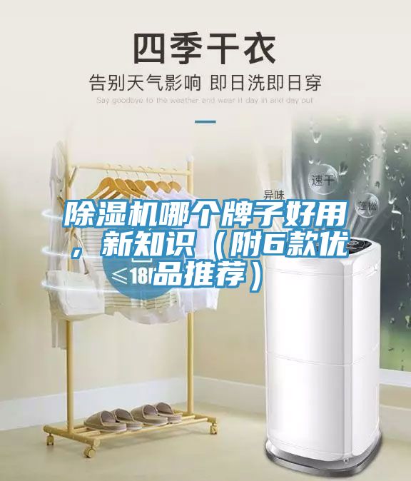 除濕機(jī)哪個(gè)牌子好用，新知識(shí)（附6款優(yōu)品推薦）