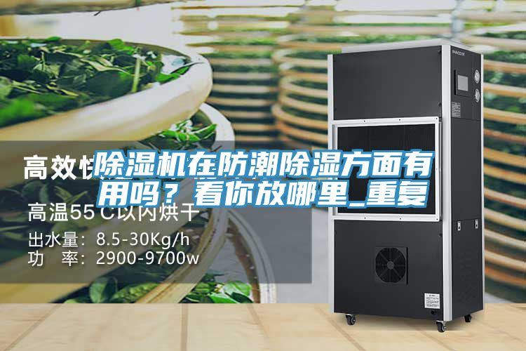 除濕機(jī)在防潮除濕方面有用嗎？看你放哪里_重復(fù)