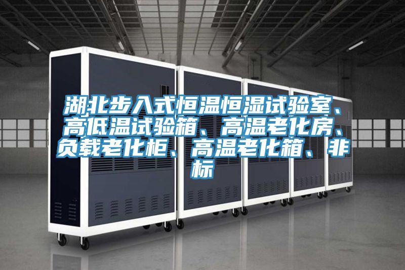 湖北步入式恒溫恒濕試驗室、高低溫試驗箱、高溫老化房、負載老化柜、高溫老化箱、非標