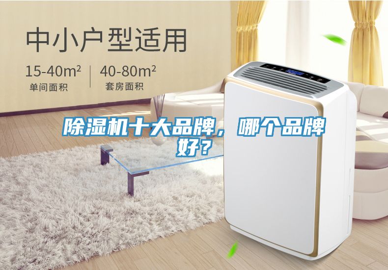 除濕機(jī)十大品牌，哪個(gè)品牌好？