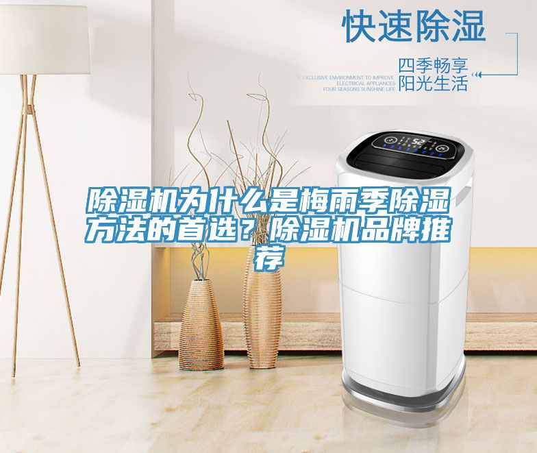除濕機為什么是梅雨季除濕方法的首選？除濕機品牌推薦