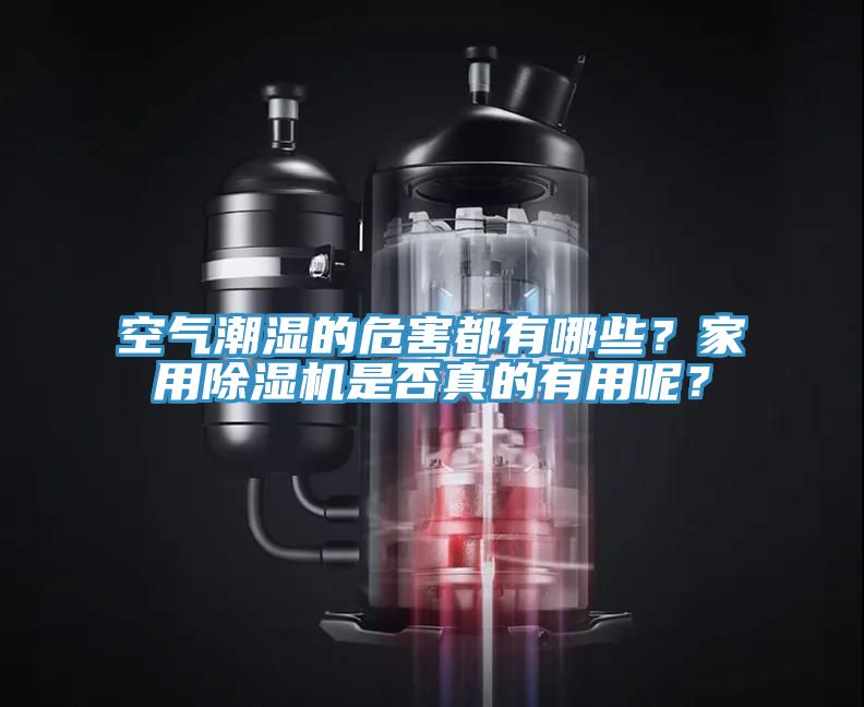 空氣潮濕的危害都有哪些？家用除濕機是否真的有用呢？