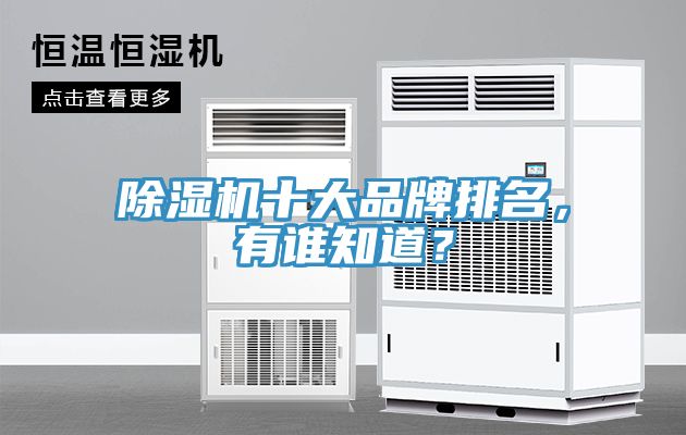 除濕機十大品牌排名，有誰知道？